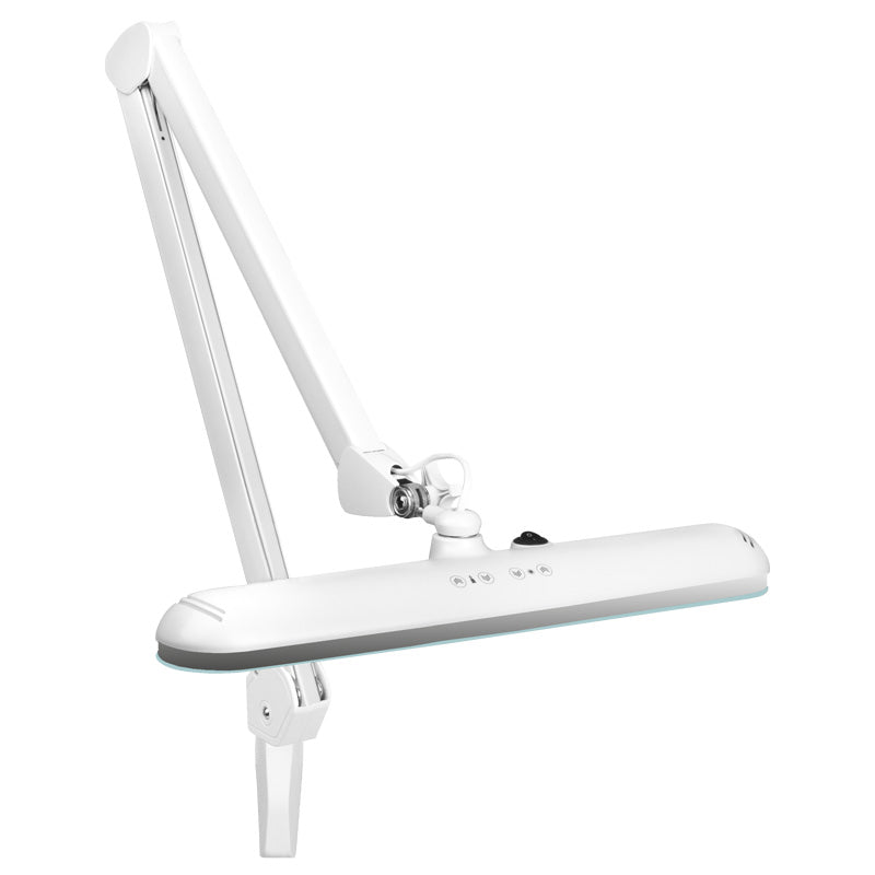 Lampe de travail LED élégante 801-tl avec étau intensité et couleur lumineuse blanche réglable