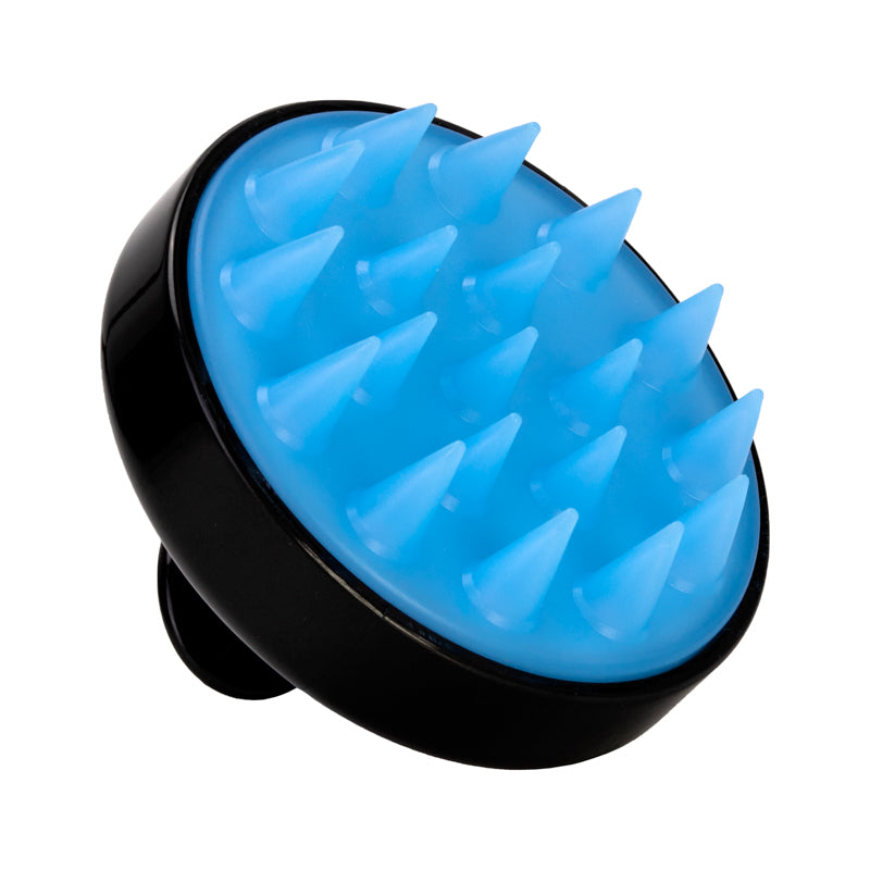 Brosse de Massage pour la Tête